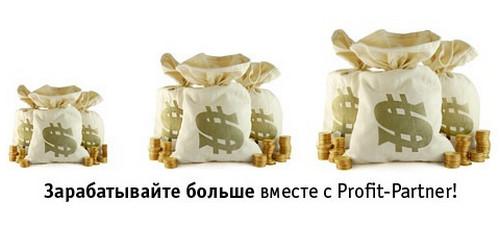 Лучший центр партнеров Рекламной Сети Яндекса Profit-partner